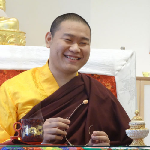 H.E. Jamgon Kongtrul Rinpoche in Möhra